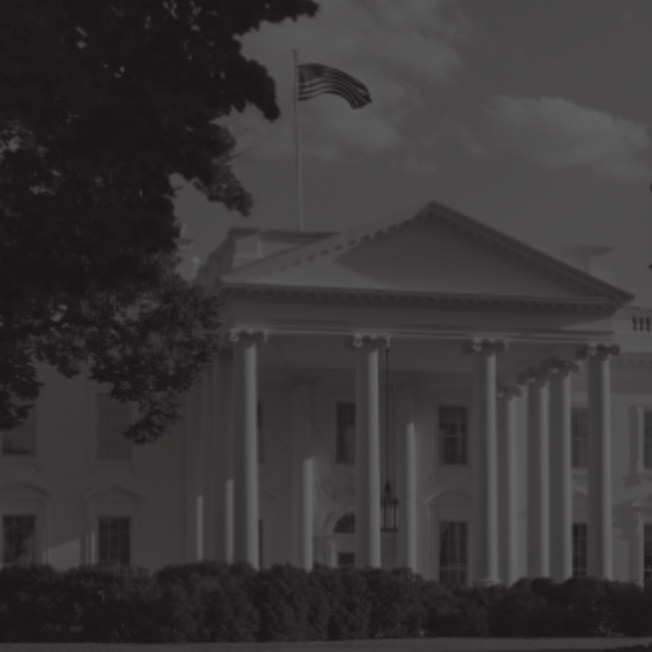 Global Intersex News Quarter 1 - 2025 13